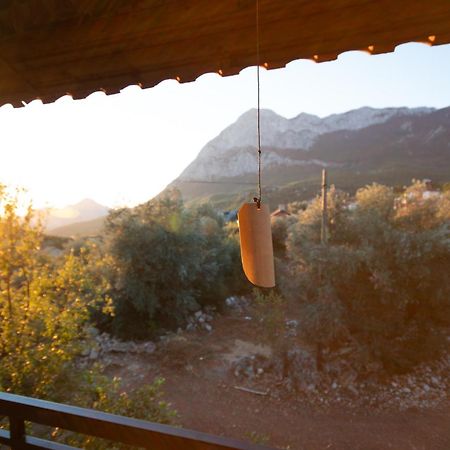 Vita Camping Otel Geyikbayiri المظهر الخارجي الصورة