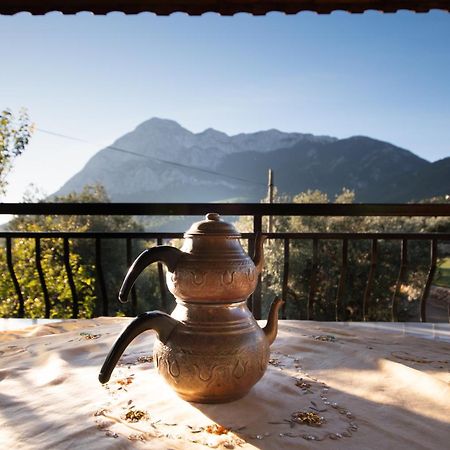 Vita Camping Otel Geyikbayiri المظهر الخارجي الصورة