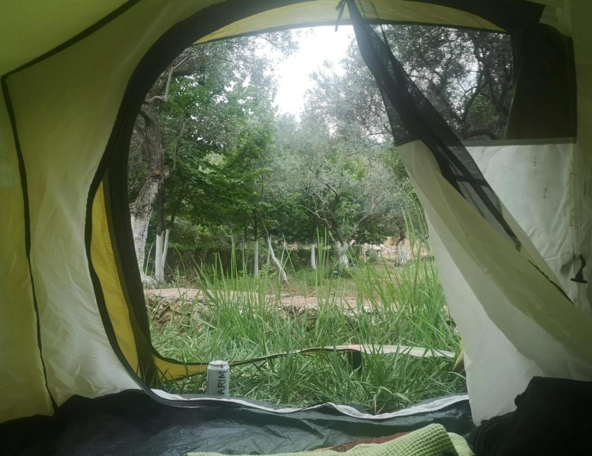 Vita Camping Otel Geyikbayiri المظهر الخارجي الصورة